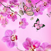 Pink Flowers Live Wallpaper APK