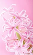 Pink Flowers Live Wallpaper screenshot 6