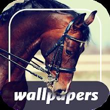 Your  Horses Wallpapers 4K APK