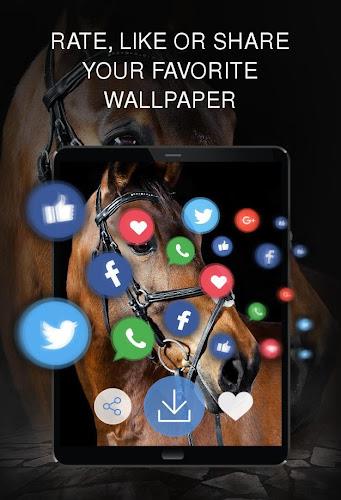 Your  Horses Wallpapers 4K screenshot 13