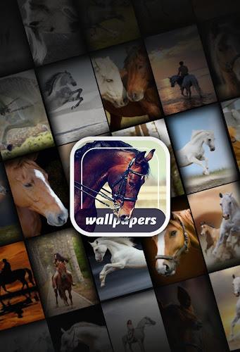 Your  Horses Wallpapers 4K screenshot 15