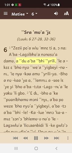 Nyaboa Bible screenshot 3