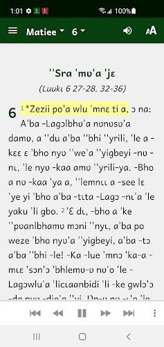 Nyaboa Bible screenshot 2