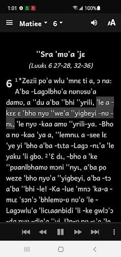 Nyaboa Bible screenshot 4