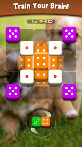 Dice Puzzle - Merge puzzle screenshot 16