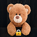 Teddy Bear Pin Lock Screen APK