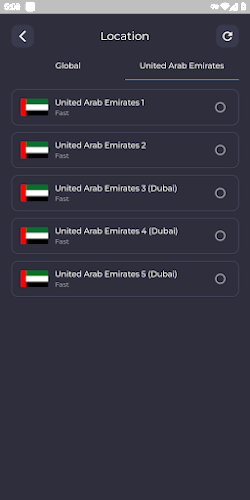 UAE VPN - Dubai VPN IP Proxy screenshot 2