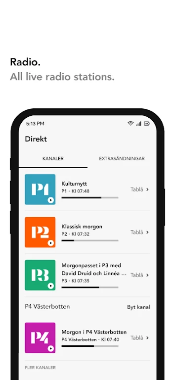 Sveriges Radio Play screenshot 3