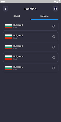 Bulgaria VPN - Fast VPN Proxy screenshot 2