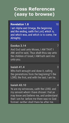 KJV Bible Multi The Light screenshot 5