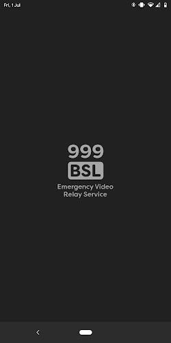 999 BSL screenshot 3