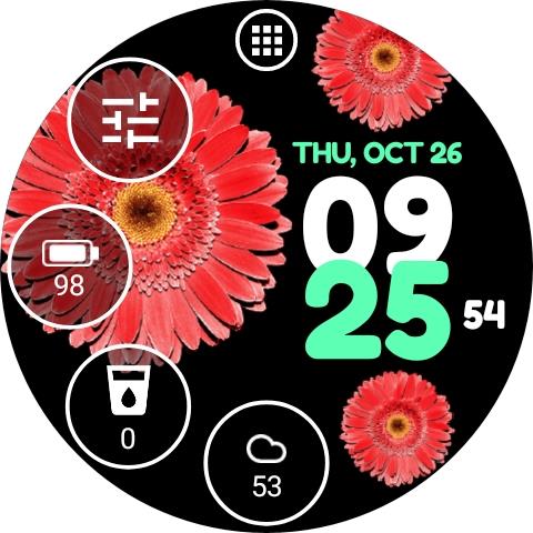 Flower Watch Face by HuskyDEV screenshot 12