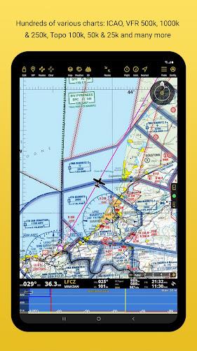 Air Navigation Pro screenshot 15