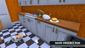 Cat Family Simulator Game screenshot 4