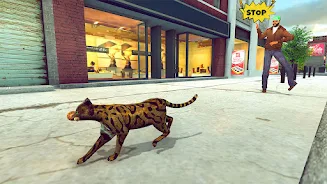 Cat Family Simulator Game screenshot 2