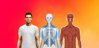 Body Scanner - Xray Scanner screenshot 3