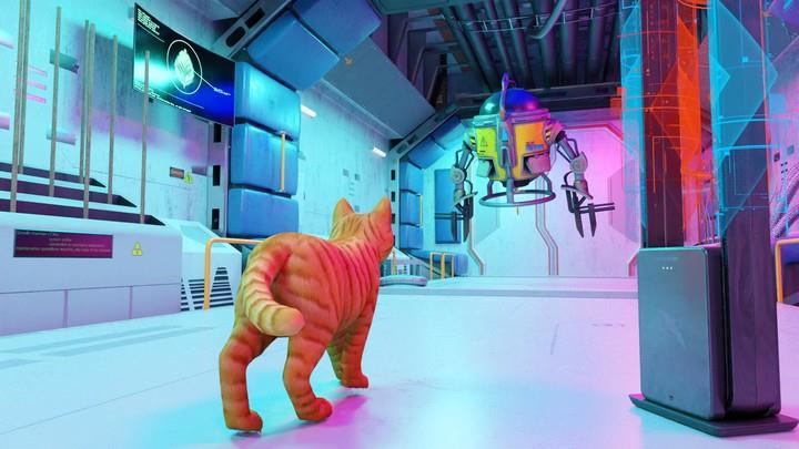 Kitty AStray Cat Simulator 3D screenshot 2