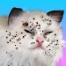 Cat Makeover APK