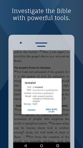 Verbum Catholic Bible Study screenshot 2