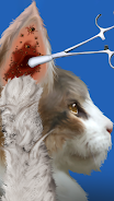 Cat Makeover screenshot 3