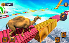 Trò Epic Cow Ramp Rush Run screenshot 5