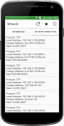 Ethwork: Netstat & Interfaces screenshot 2
