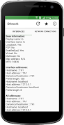 Ethwork: Netstat & Interfaces screenshot 3