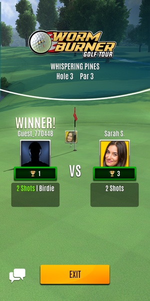 Ultimate Golf! screenshot 16