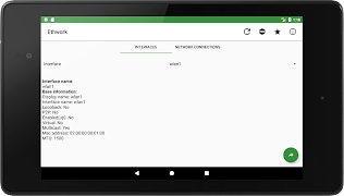 Ethwork: Netstat & Interfaces screenshot 4