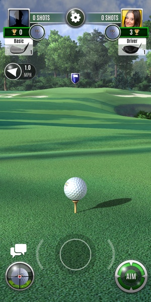 Ultimate Golf! screenshot 12