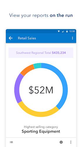 SAS Visual Analytics screenshot 4