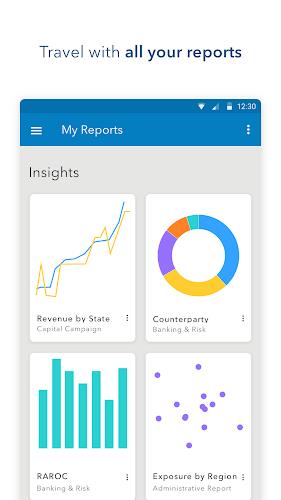 SAS Visual Analytics screenshot 3