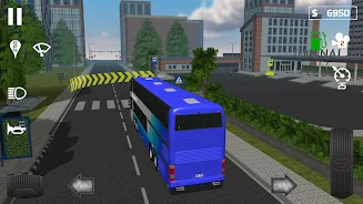 Public Transport Simulator - C screenshot 5