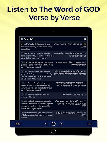 Hebrew Bible Offline screenshot 8