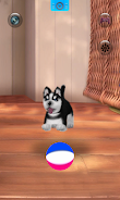 Talking Siberian Husky screenshot 4