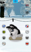 Talking Siberian Husky screenshot 5