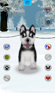 Talking Siberian Husky screenshot 1