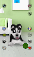 Talking Siberian Husky screenshot 3