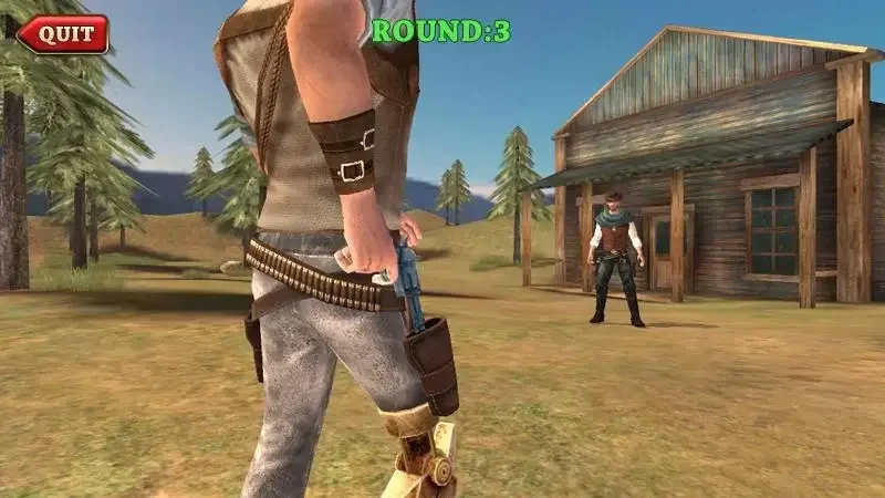 West Gunfighter screenshot 7