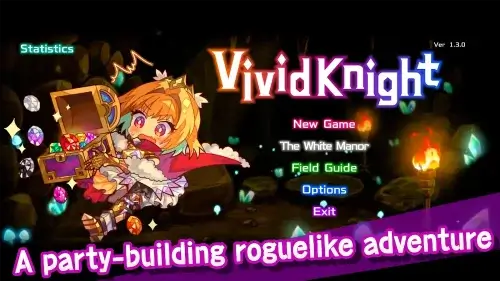 Vivid Knight screenshot 1