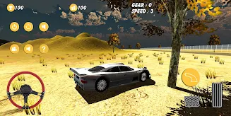 Real Car Drive - Desert Drive screenshot 1