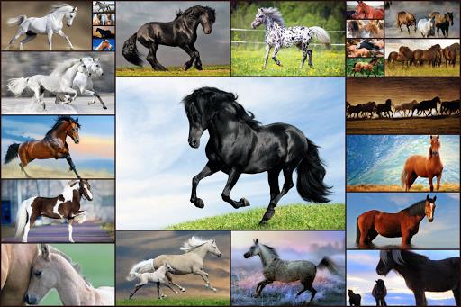 Horse games - Jigsaw Puzzles screenshot 3