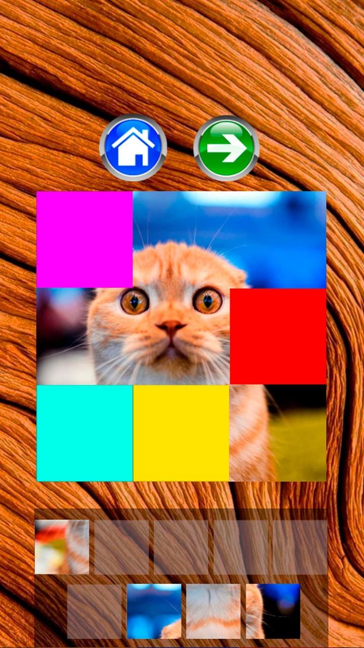 Cats - Puzzle - Jigsaw screenshot 5