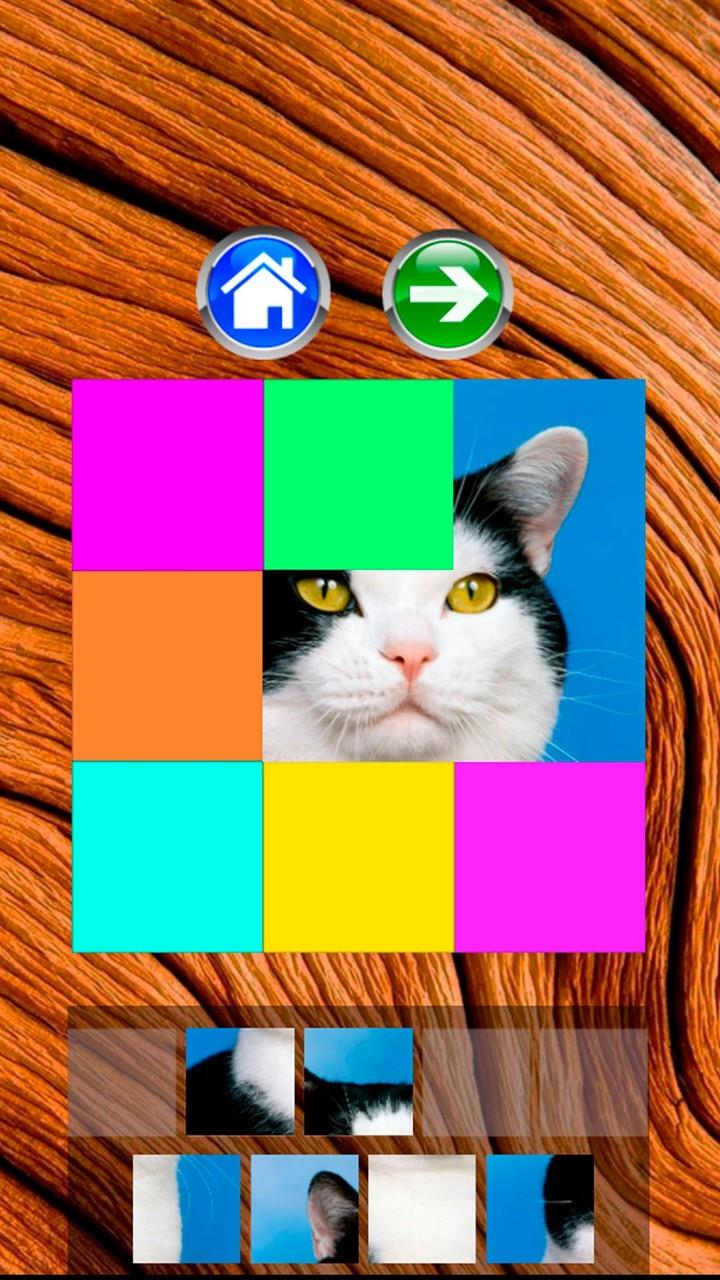 Cats - Puzzle - Jigsaw screenshot 3