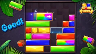 Block Puzzle-Jewel Blast screenshot 8