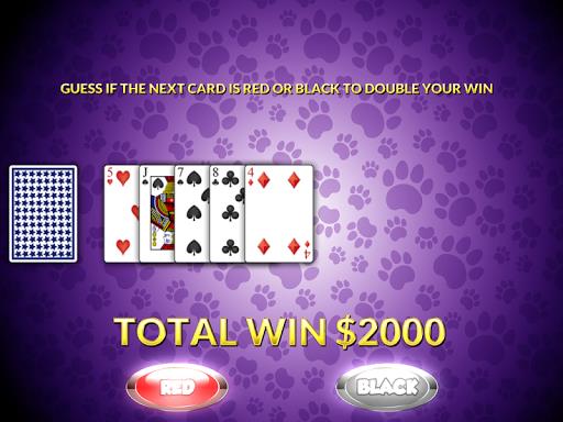 Casino Cash Cats Kitty Slots screenshot 1