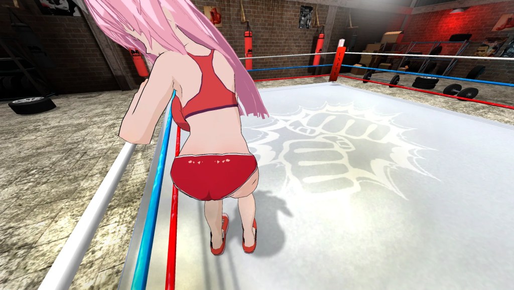 Hentai Fighters VR screenshot 1