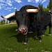 Angry Bull Attack Survival 3D APK