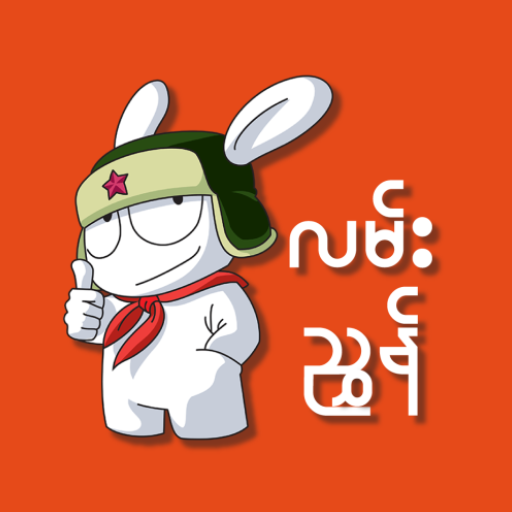 Xiaomi User Guide APK