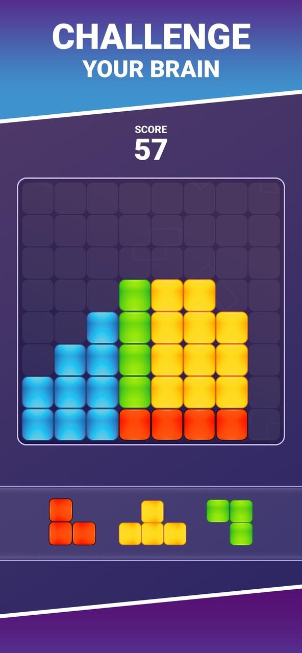 Classic Blocks - Puzzle Games screenshot 2